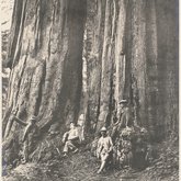 John Muir, James S. Merriam, unidentified, William Keith in Giant Forest, Sequoia National Park, California