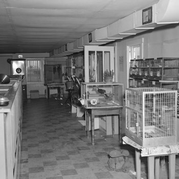 Inside of Stroop's Snake Farm, view of cages with birds and other animals. Bowmans Crossing, Va.