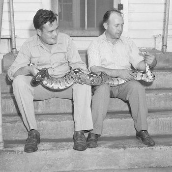 Two men sitting on the front steps of Stroop's Snake Farm holding a large snake. Bowmans Crossing, Va.