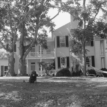 Wissler House, view from the side, dog pictured sitting in the yard.