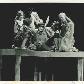 A Midsummer Night's Dream Image 1