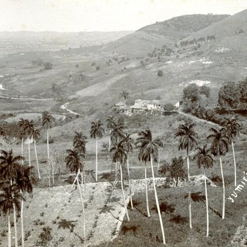 Yumiri Valley, Cuba (MSS 31 B3 F8 #9b)