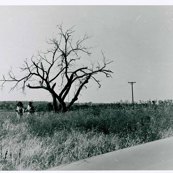 Big Mabel (Carole Lamond) and Gordon Parks, Jr.  walk past "The Learning Tree" tree while on location in Bourbon and Linn counties, Kansas