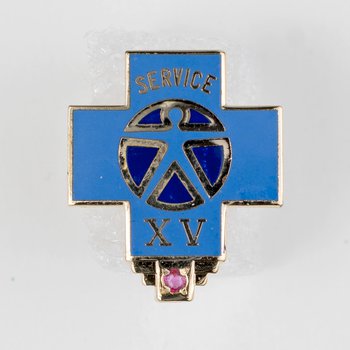 Blue Cross 15 Year Service Lapel Pin