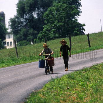 Amish boys with scooter and buckets