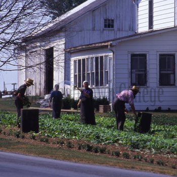 Amish family in garden