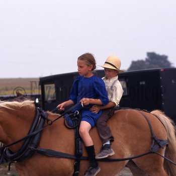 Amish children on horse