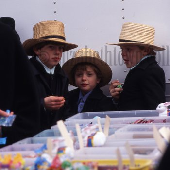 Amish boys at mud sale 2