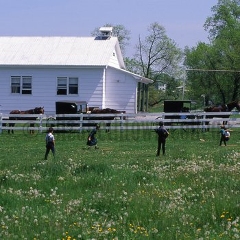 Amish and Mennonite children playing baseball