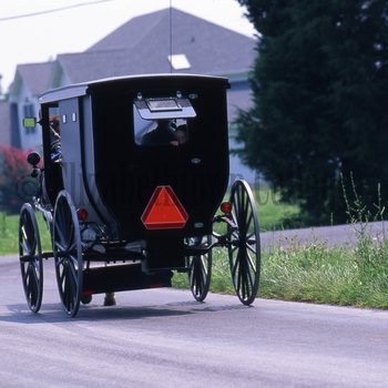 Amish buggy on road in Delaware