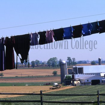 Amish clothesline