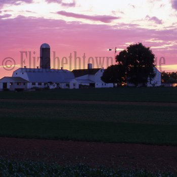 Amish farm at sunrise or sunset