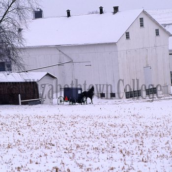 White barn and buggy in snow