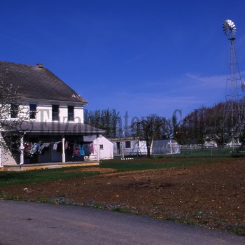 Amish farmhouse with windmills