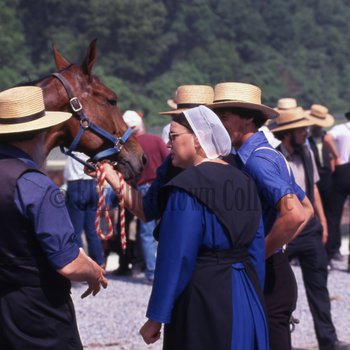 Amish woman talking with Amish men