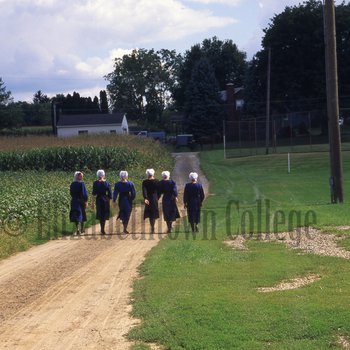 Group of Amish women walking