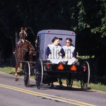 Amish women on back of buggy
