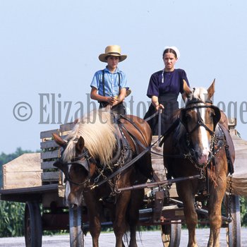 Amish girl and boy driving wagon