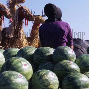 Amish woman on watermelon wagon