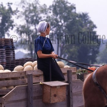Young Amish woman with cataloupe wagon