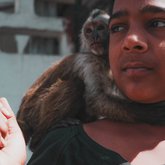Trinidad Monkey