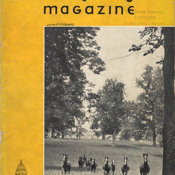 Kentucky Progress Magazine Volume 6, Number 3