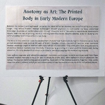 Current Exhibit: Anatomy as Art: The Printed Body in Early Modern Europe
