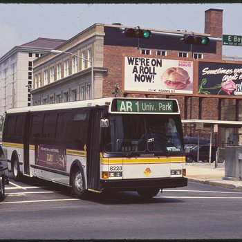 JTA Buses 10 (Main Street)