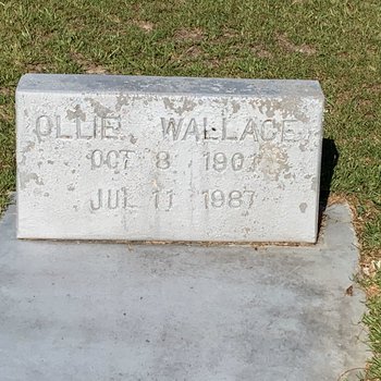 Olie Wallace