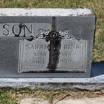 Sarah Frink Johnson