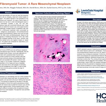 Ossifying Fibromyxoid Tumor: A Rare Mesenchymal Neoplasm