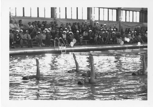 Aquatic Center Grand Opening