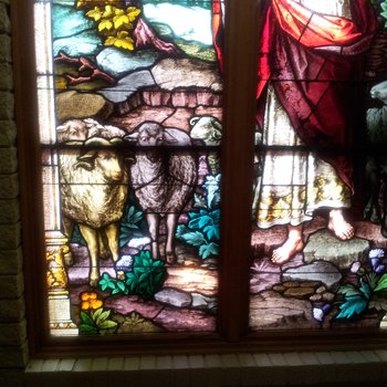 Good Shepherd Window: Detail of Sheep