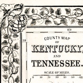 Grapevine Detail - Kentucky & Tennessee