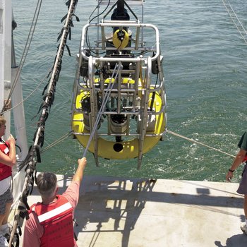 College of Marine Science Researchers at Sea