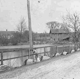 Gray's Mill 010: Adamsville Pond looking Northeast