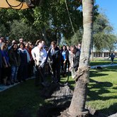 Founders Day 2017: Replacing our iconic palm tree