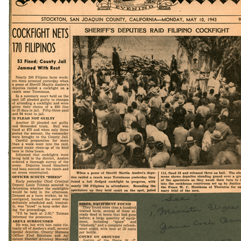 "Sheriff's Deputies Raid Filipino Cockfight" - Stockton Record (MSS 252 Pearl Sweet Collection)