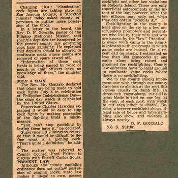 "Minister Urges Game Cock Ban" - Stockton Record (MSS 252 Pearl Sweet Collection)