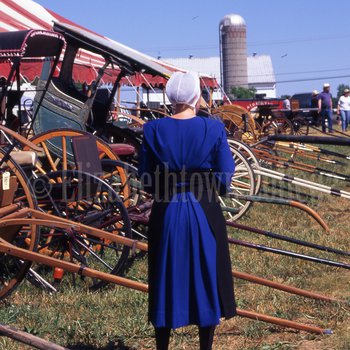 Amish woman inspecting buggies at mud sale