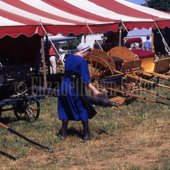 Amish woman examines buggies at mud sale