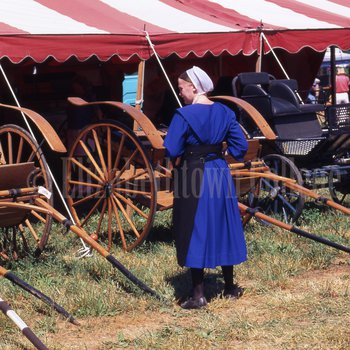 Amish woman browsing buggies