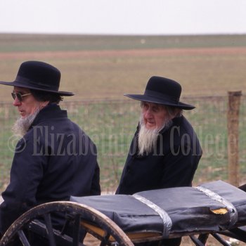 Amish men lean on buggy