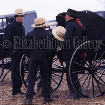 Young Amish men near buggies