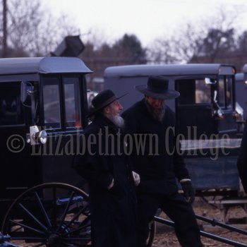 Two Amish men talk next to buggies