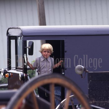 Amish boy in door of buggy