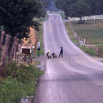 Three Amish boys with wagon