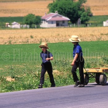 Two young Amish boys pull wagon