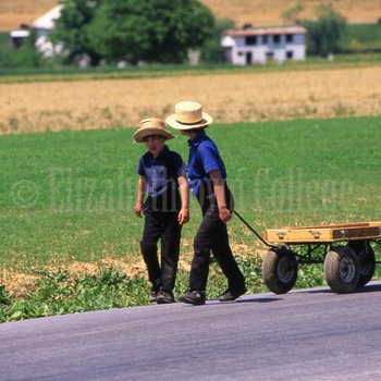 Amish boys pull wagon