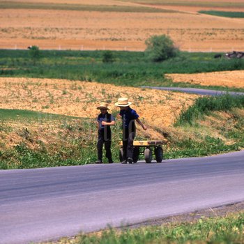 Amish boys with wagon